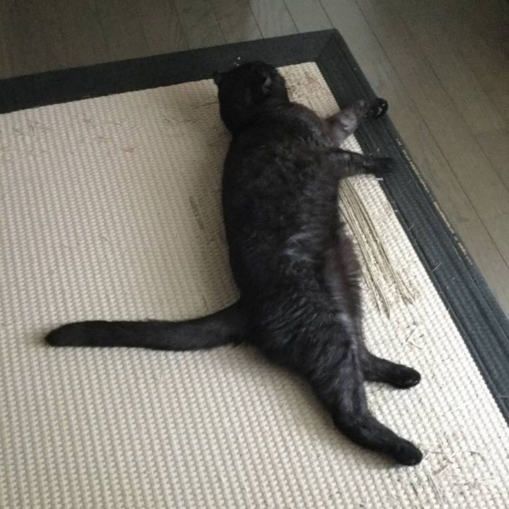 6ac605b6 87f8 48bb af5b feab5191c6bb