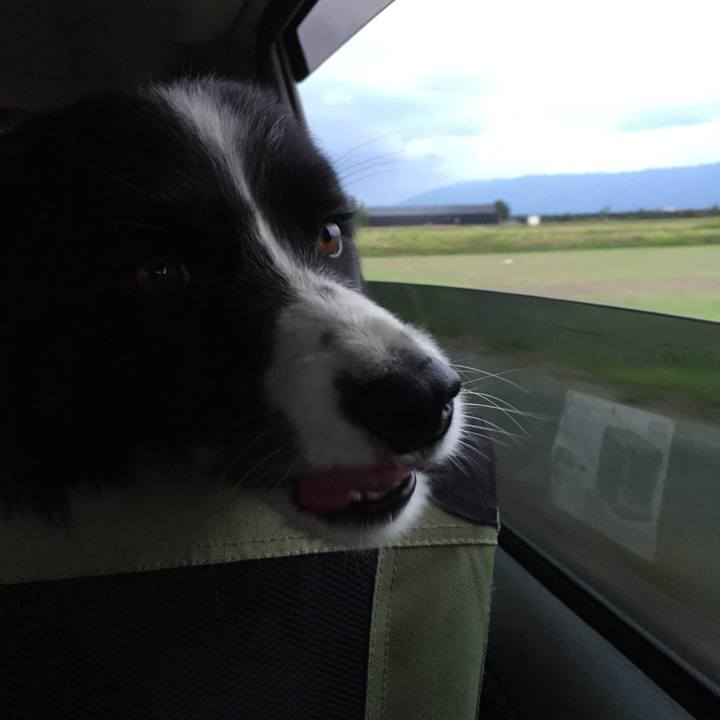 6ac6fcfb 76db 4b4a a5ef 0478c3dbd9cf