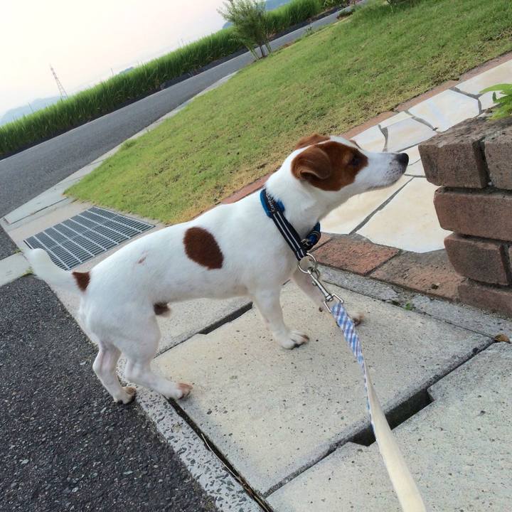 6ac74130 476e 438e 87b2 2cbbbf7ad0cb