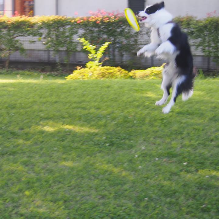 6ac75c75 d0df 46a8 9cf3 595dbd5e016b