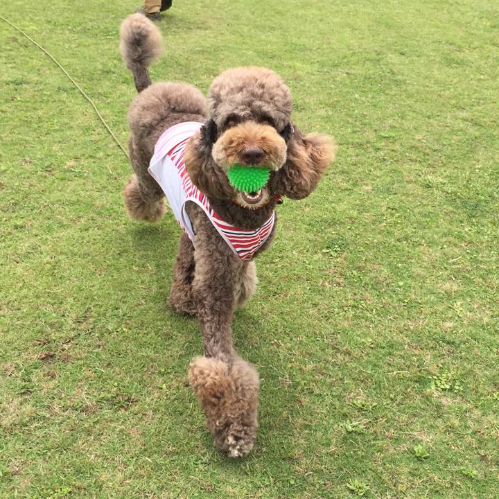 6ac75df9 6ce0 4cbe b77c 63656d18e31a