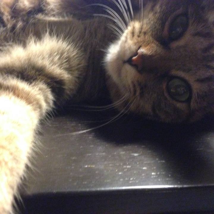 6ac7ad43 c562 40d9 a5db 7e3daeee29df