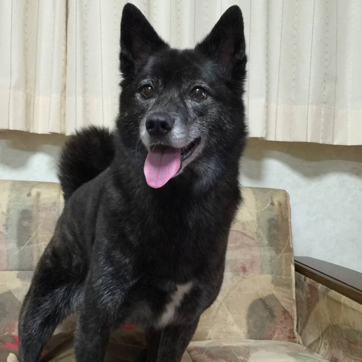 6ac7adbe ebd4 49c0 8167 44a1e18c9221