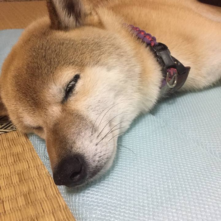 6ac809ce 2651 45df ac84 8ab26dfdb90c