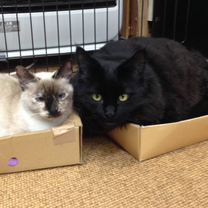 6ac89c1d b04f 4b05 a632 f68f4ab64d46