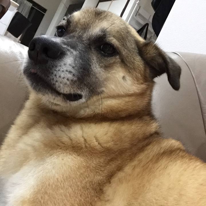 6ac92a5c ff4c 4cd3 998e d9beca3cdbb7