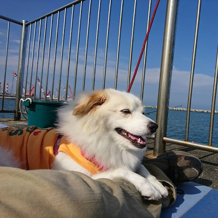 6ac96a0a e84f 4812 b270 fa4f6672b0b0