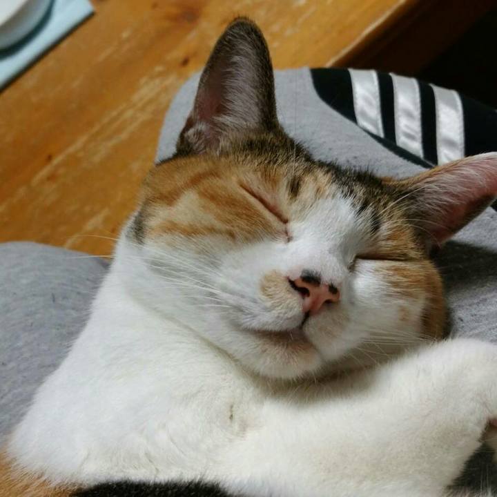 6ac99659 8387 4d1d a02b c1c9d7023b16