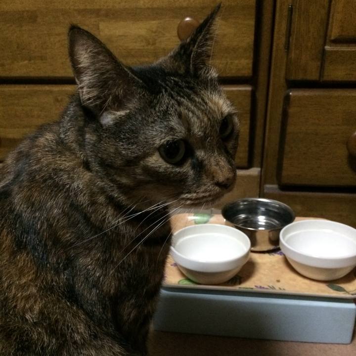 6aca0138 91db 4c9a 8d08 76815e11e565