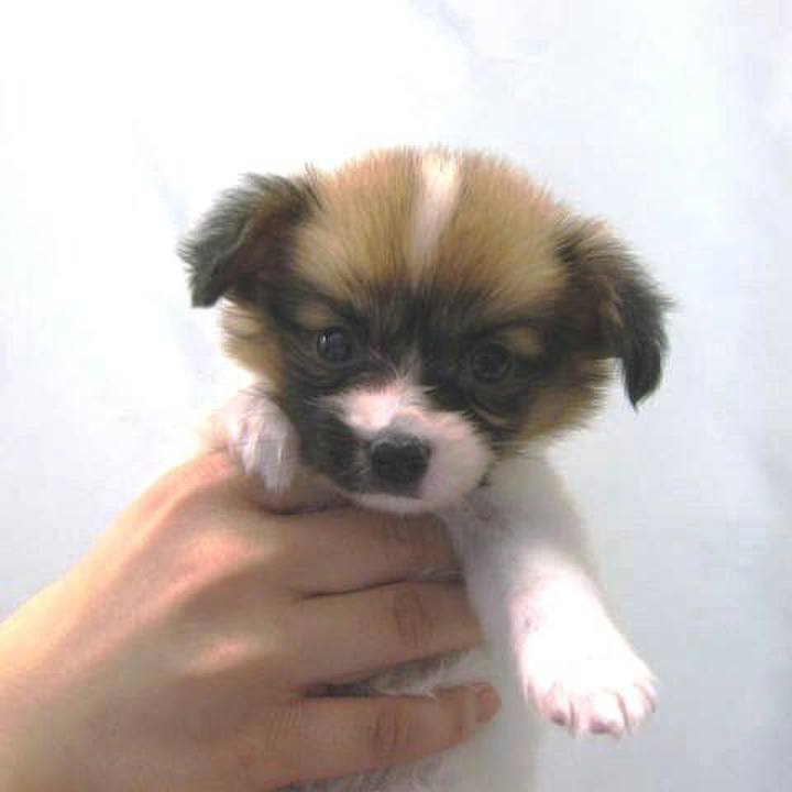 6acb47df 0d55 4b7a 9369 313bdc65cce9