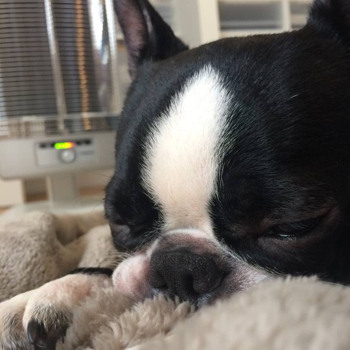 6acb6dc3 774b 4996 92ac f609b53f3bed