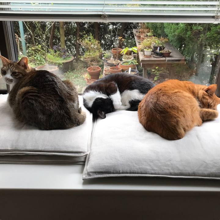 6acb7bf3 33aa 4291 bdf6 3045cd43cc22