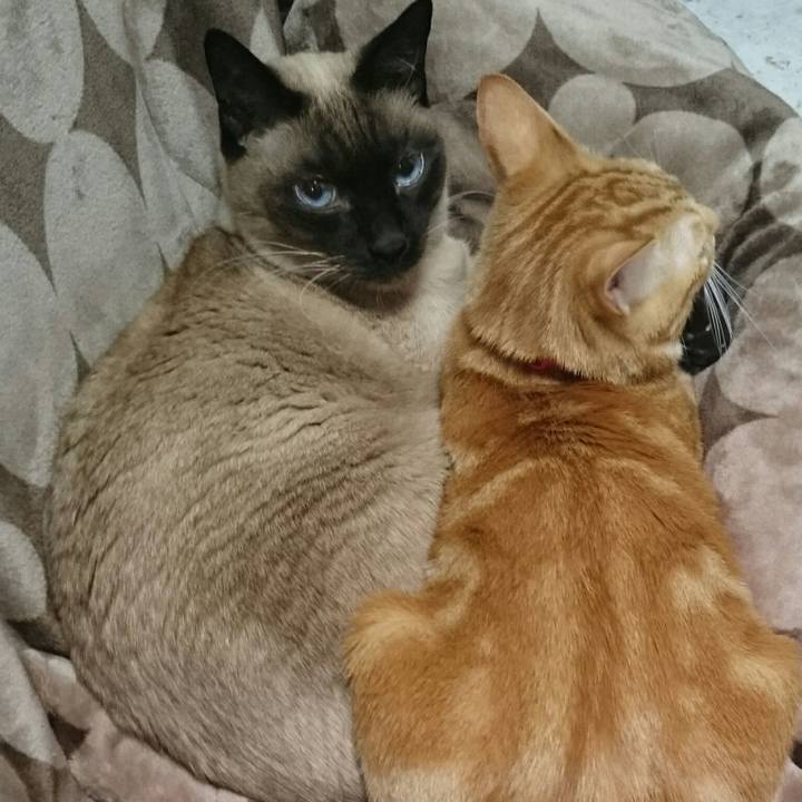 6acc4205 110e 4f8c b3ea eefa36c3c6f4