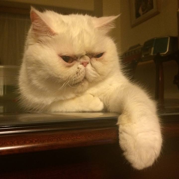 6acc9951 0b4e 47b1 a5e2 aeada6e19b88