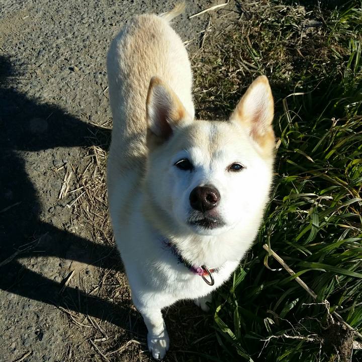 6accacb2 7986 4c8e 94fc 1af2bc41ed81