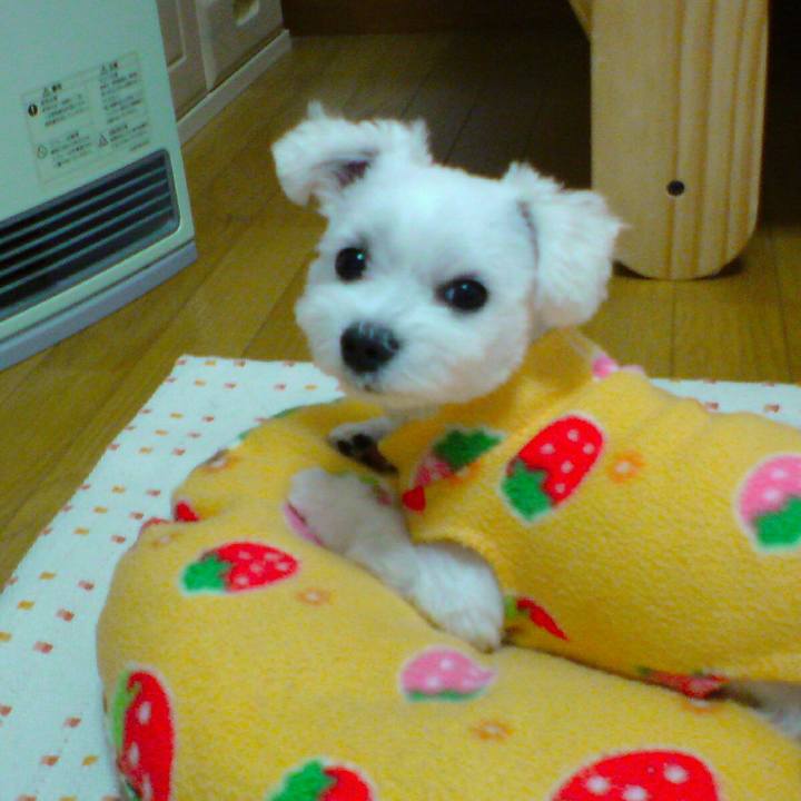 6accfebb a56b 430b b928 8125ab73f7a4