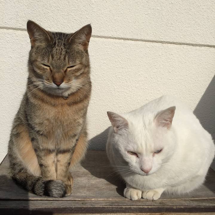 6acd3d05 c026 49d7 8efc 43f5b4fb79f6