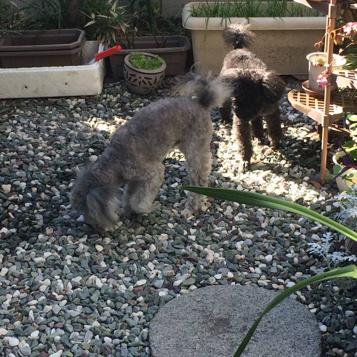 6acd8ad3 0f4b 4e4b 987b c4023af7140c