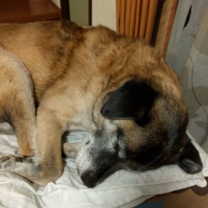 6ace1f9a f2bb 4e4b 9351 9c78985fbd22