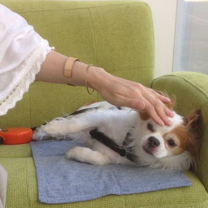 6acf0d25 6079 4e77 8694 a553b665fb98