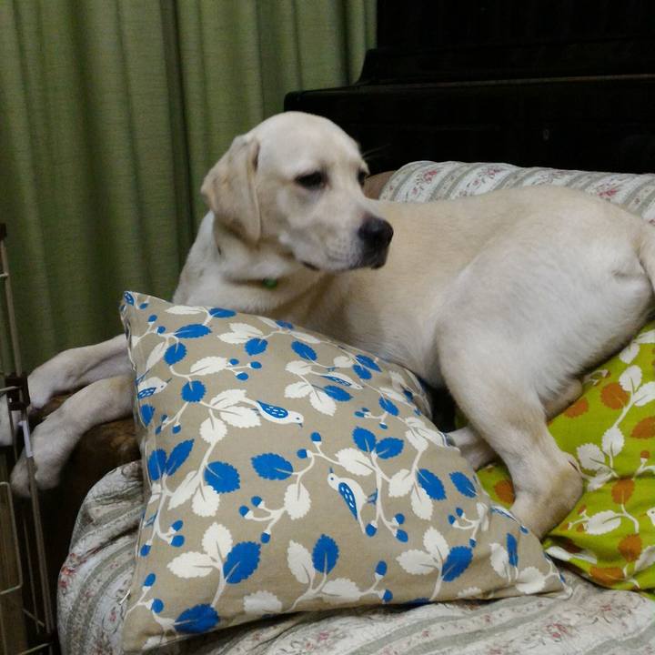 6acffea4 4ca1 456c accf 7e53a82c1e64