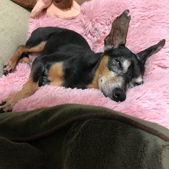 6ad07288 e3f7 465f 8377 04dbd79fe2ea