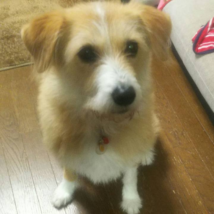 6ad0740f 2231 413e b4fe f2bf771cc5c4