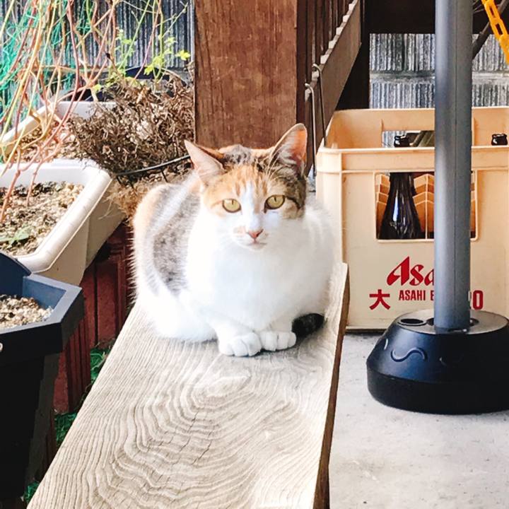 6ad0ac87 59b3 4f05 80f7 7805b50fa3bf