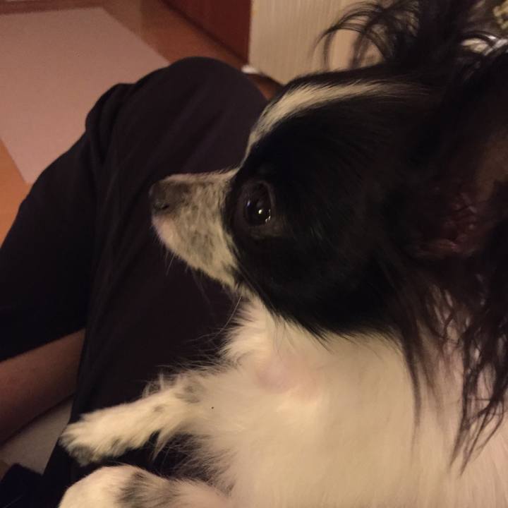 6ad0da0e 0408 4e70 85c7 a39b3f108dcd