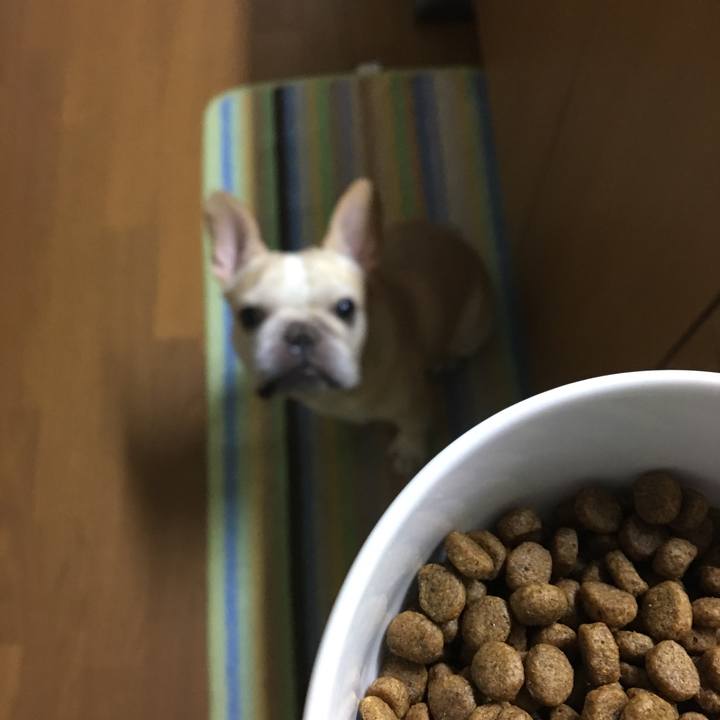 6ad1de68 5ce3 4f5e 9f7f f377af836ae4