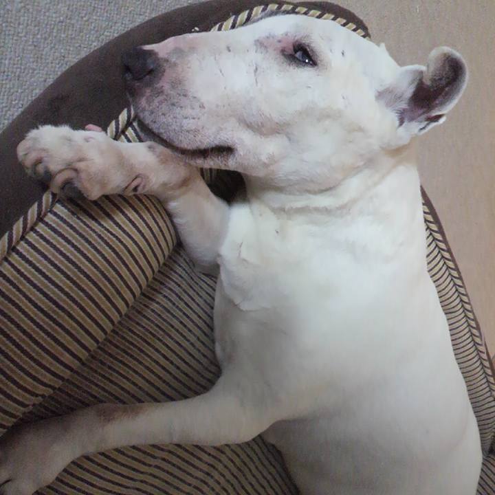 6ad3a8fe 6926 4064 a04a 0c3ee2ef2054