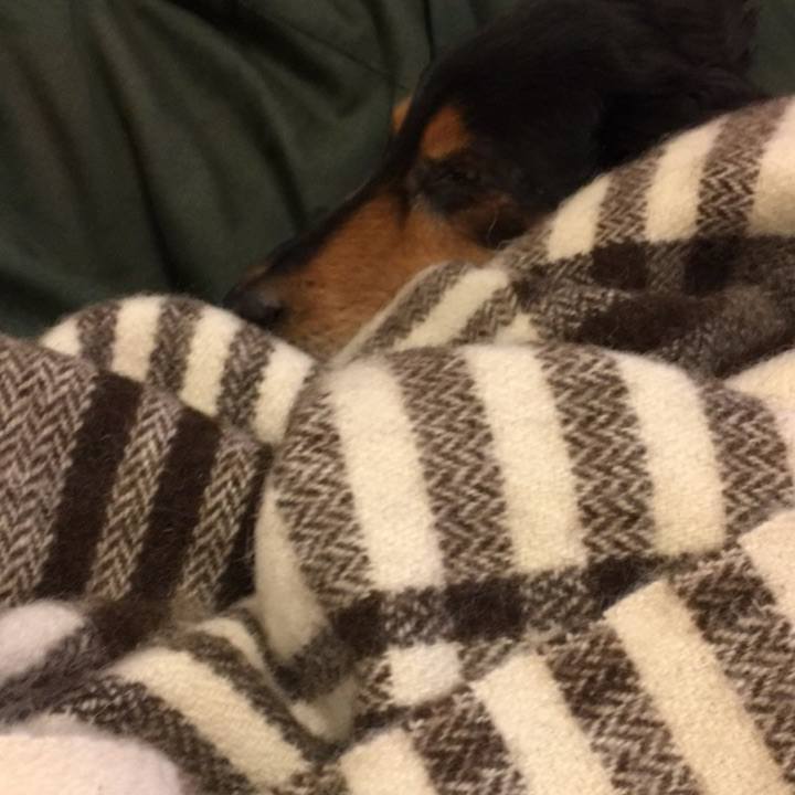 6ad3e57c 7240 4d3e bd78 2c205478f1eb