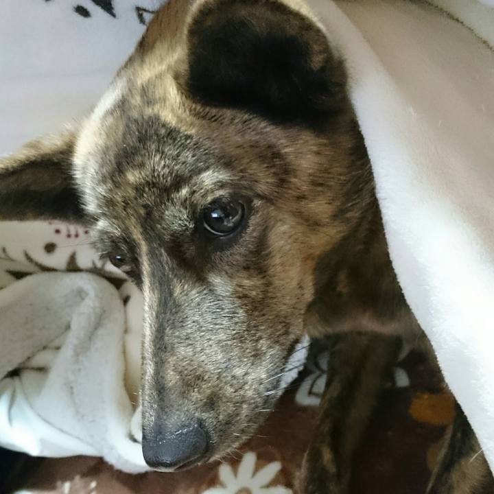 6ad3fb4c 9058 4550 a823 158c4e31fce6