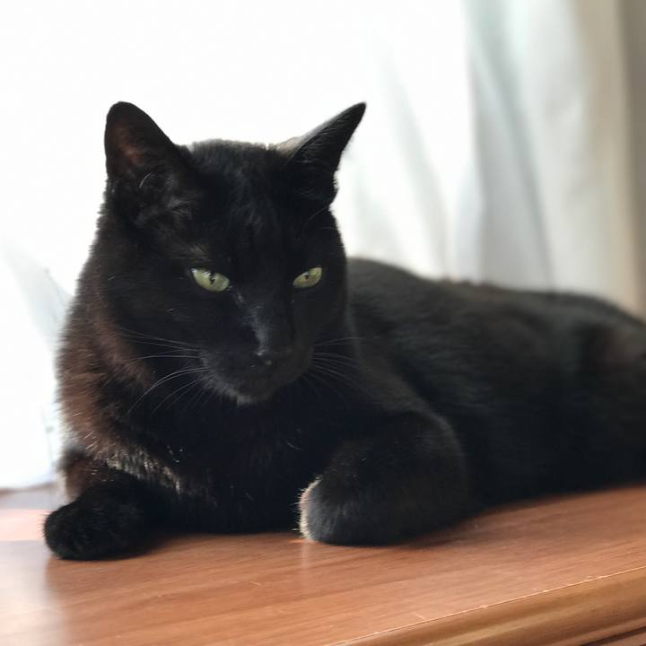 6ad48ee8 e509 4fb2 90e9 29a04bc5d76b