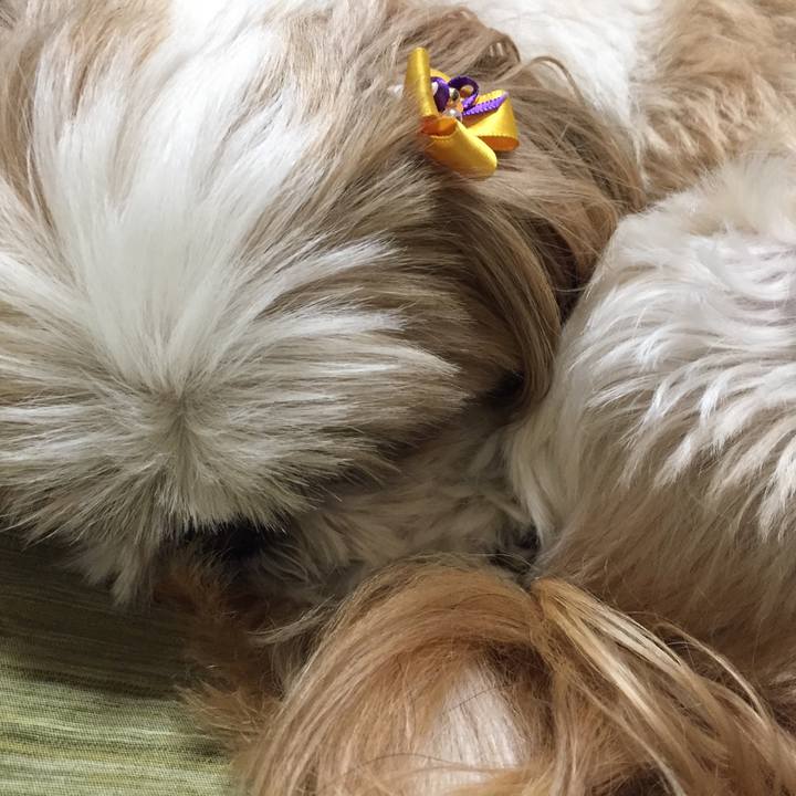 6ad49475 ec54 446c aadd 60c67dbd10d1