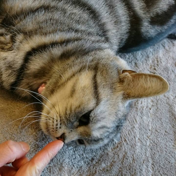 6ad60396 c71c 4752 a41b de4ff089d08f