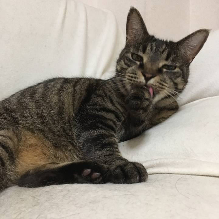 6ad6e3e2 954e 4a5b 8e04 162d3cc24bb1