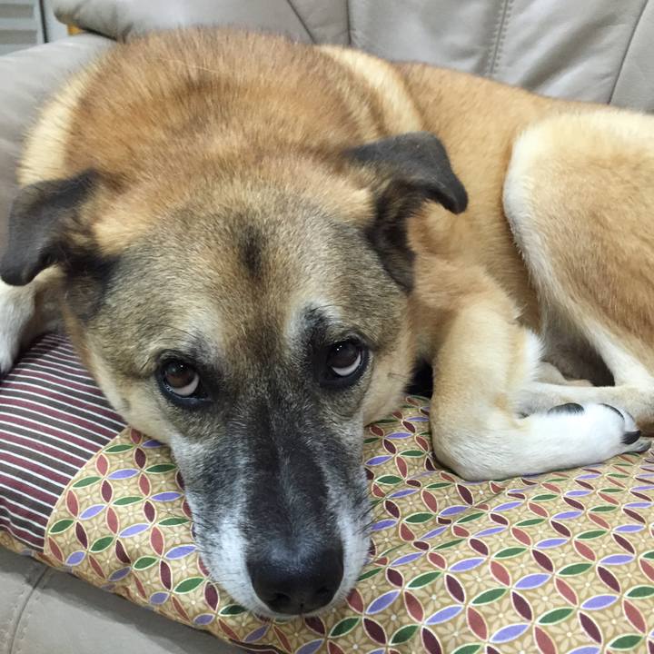 6ad77189 57e9 45d3 9c3d 7ebc26af23ba