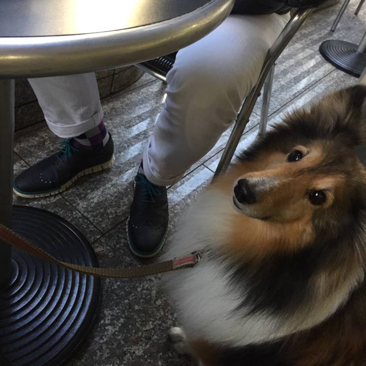 6ad7ff1a 8d87 4dab b792 c765afef8279