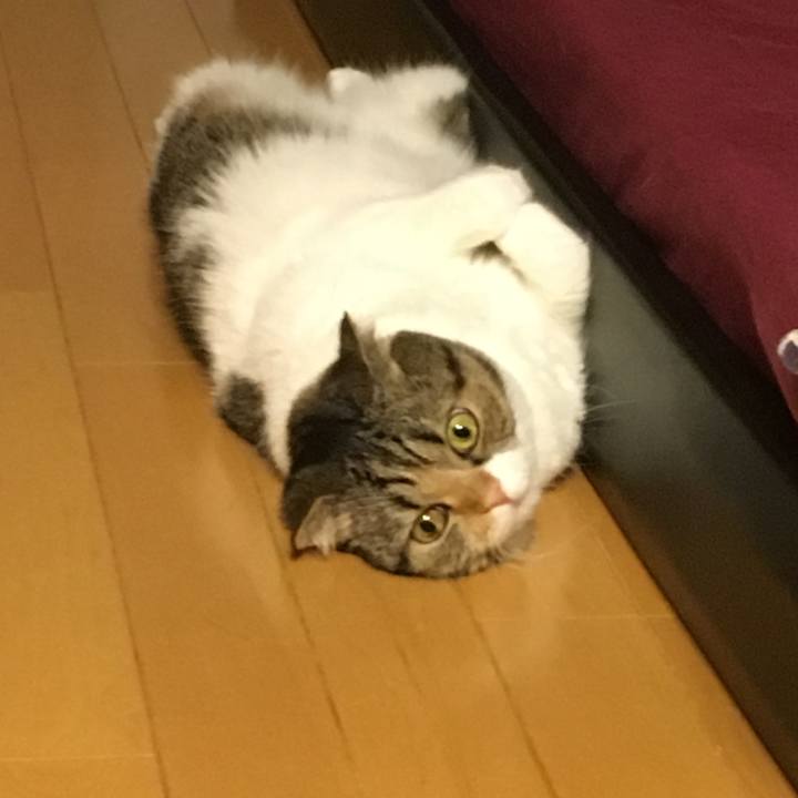 6ad858ba 0a13 4da8 a682 c99a40425e9b