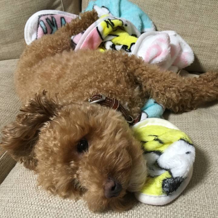 6ad92c58 6a0b 441f bc12 c04ad5d82427