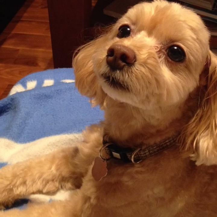 6adacf7d d89a 41cd 9c84 7c4678bac986