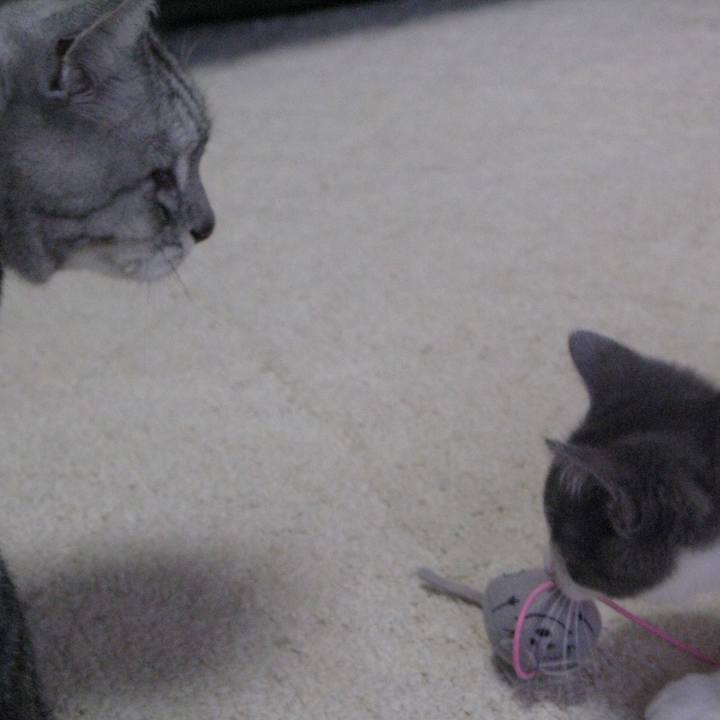 6adae67a e827 4c60 a60c 00cd5d38d2ec