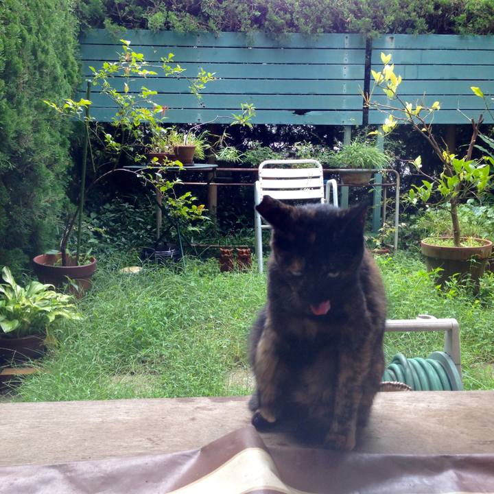 6adc8ed2 371f 40d4 b2f7 c03307b9cb74