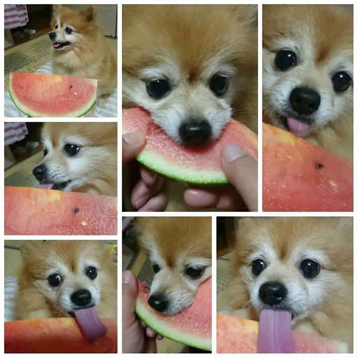 6add92ac 3645 466b 9c64 9bf57594c7c1