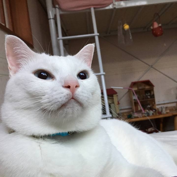 6ade41f4 5ca1 4558 a6cf df1dc8d17feb