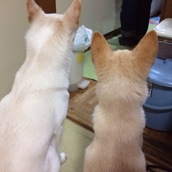 6ae044d3 1887 4b67 a0f2 479b63121fd2