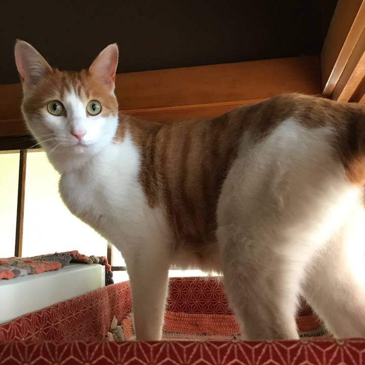 6ae094df 6627 4858 80bb 48c131dc6922