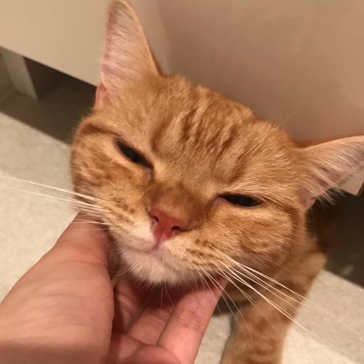 6ae1edaa 3933 4325 85e3 2e41f558890f