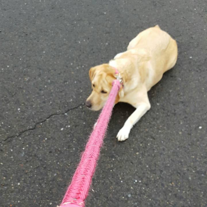 6ae361ff 66b2 468b ae47 bfd3a5d92971